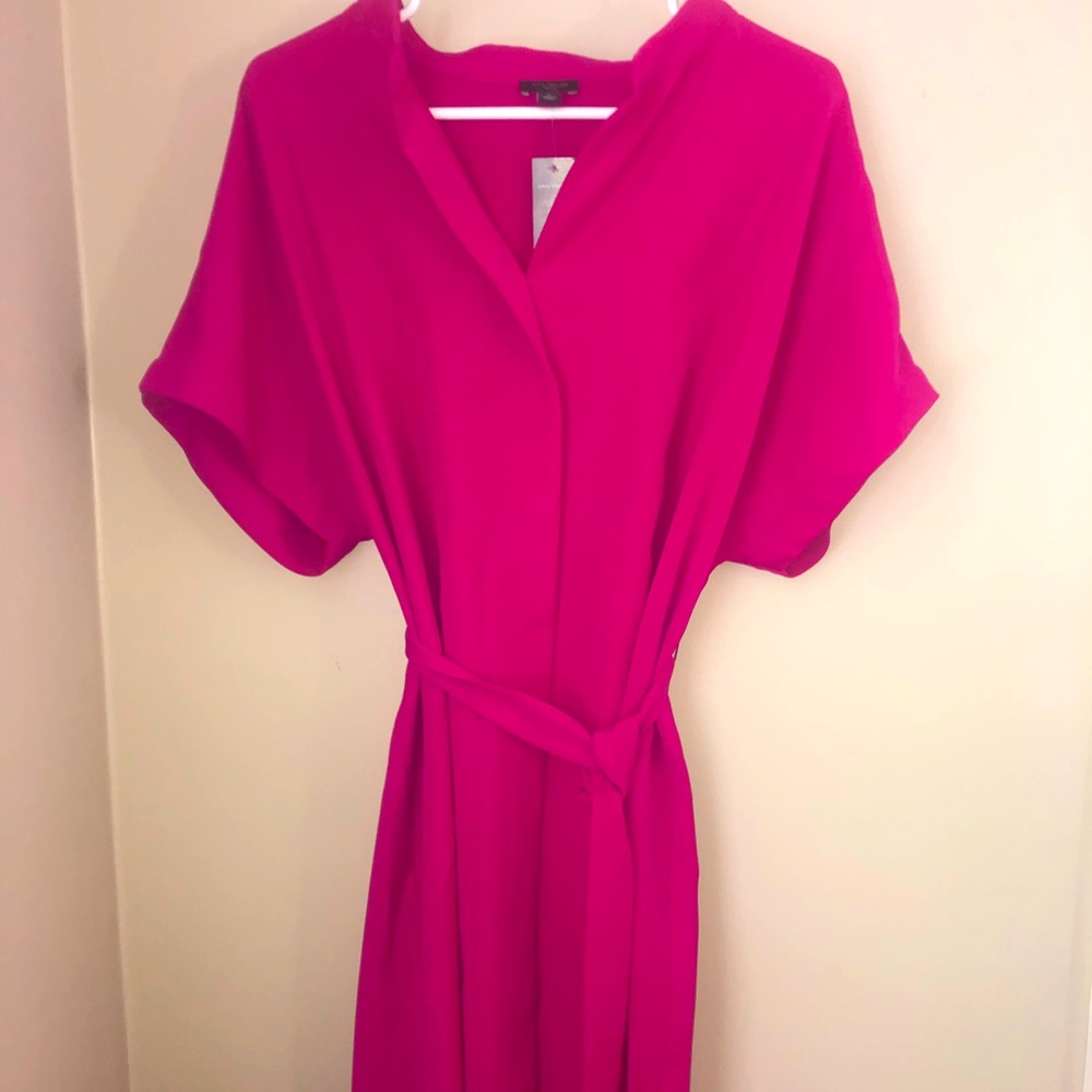 NWT Ann Taylor Magenta tie dress. Large Petite.